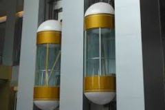 capsual1